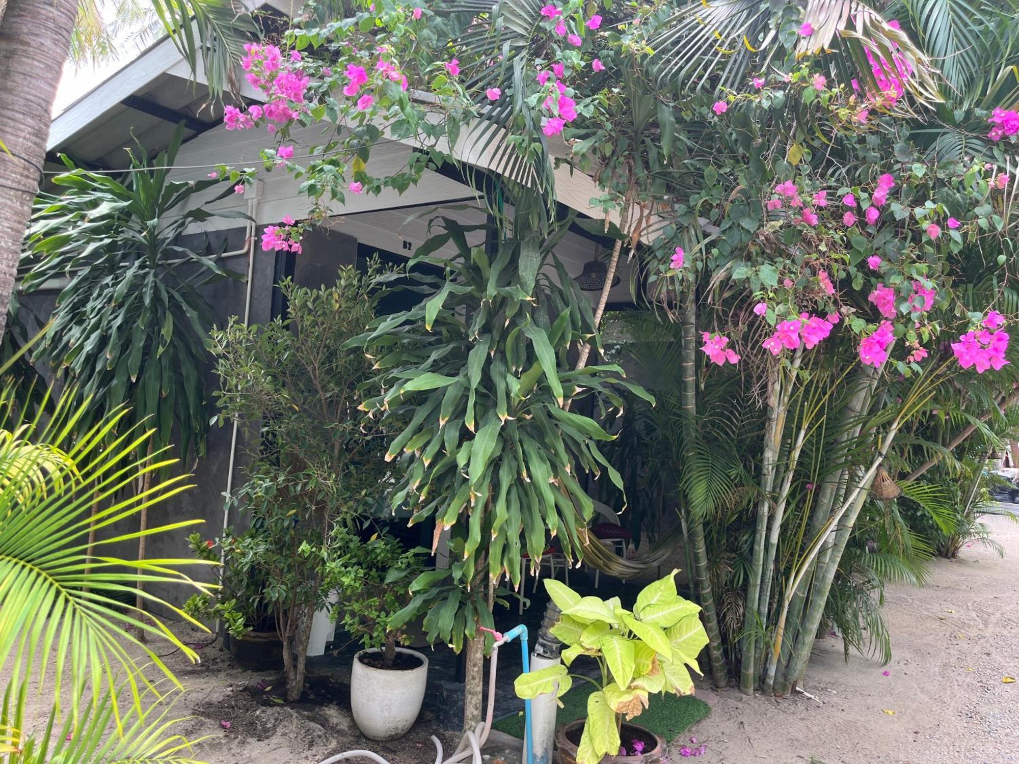 Namthip Homebeach Baan Tai Exterior photo